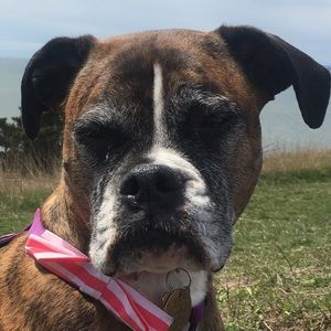 Meet your Posher, Gwendolyn